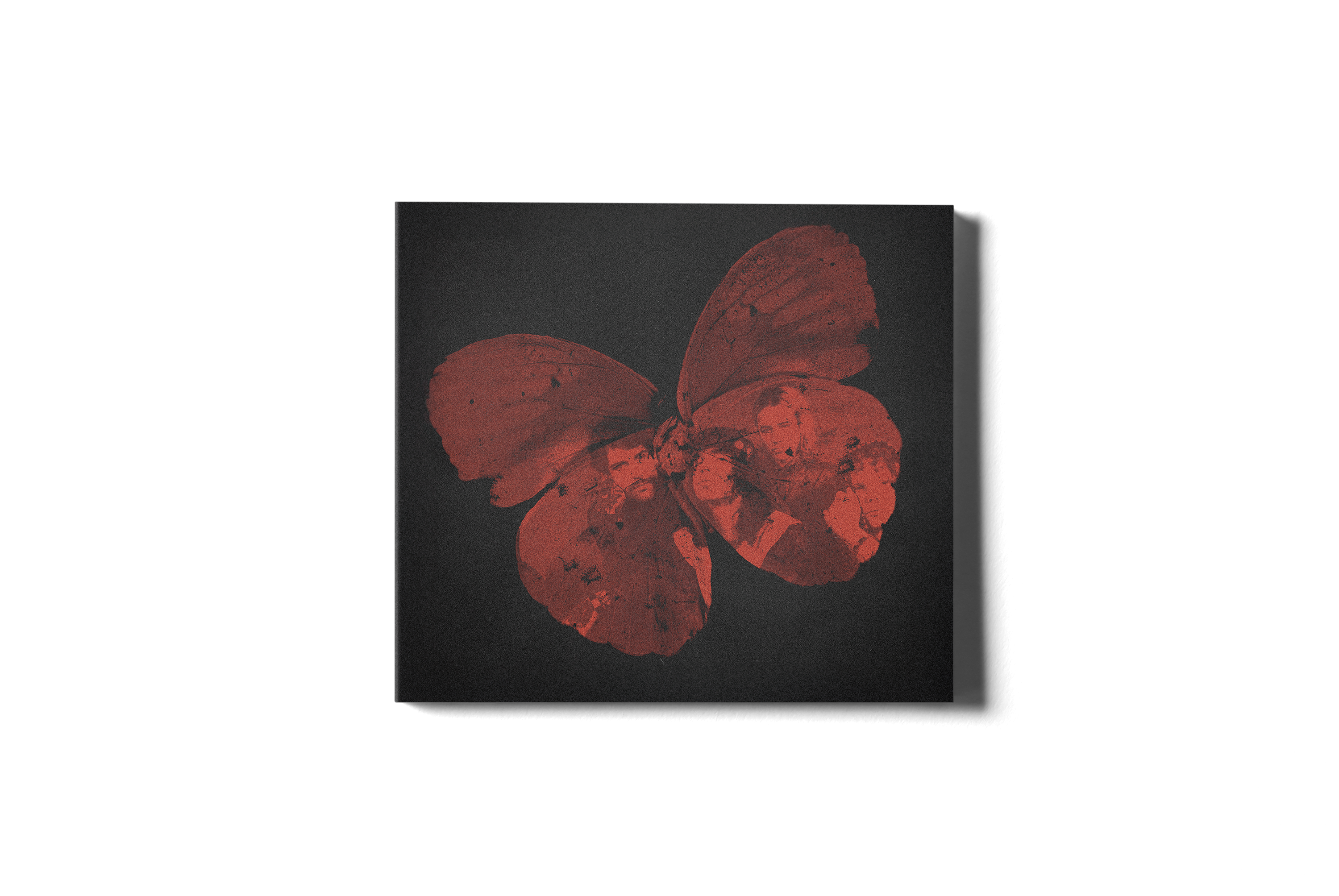 WDATBG TOUR 26' EXCLUSIVE CD